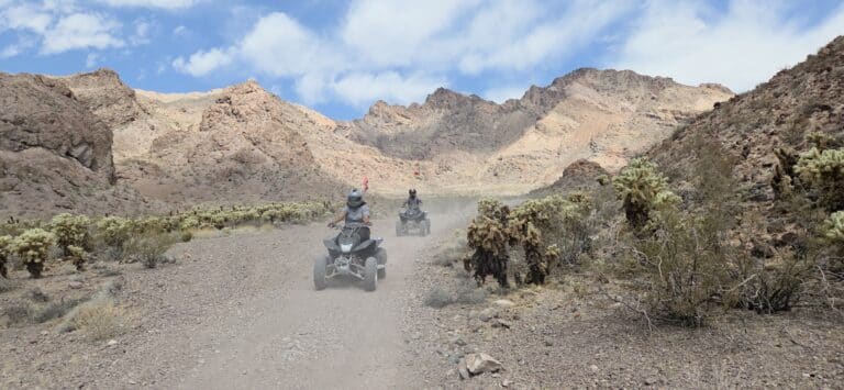 Explore Nevada’s rugged desert near Las Vegas on ATV tours, riding past cacti and rocky mountains toward the Colorado River.