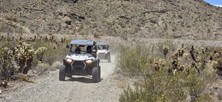 ATV tour near Las Vegas: Two off-road RZR vehicles race a dusty Nevada trail, cacti and desert hills under a clear blue sky.