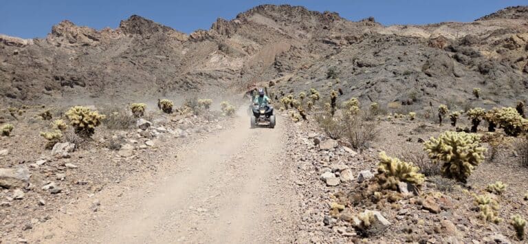 Experience thrilling ATV tours near Las Vegas, Nevada—ride dusty desert trails lined with cacti and scenic mountains by the Colorado River.
