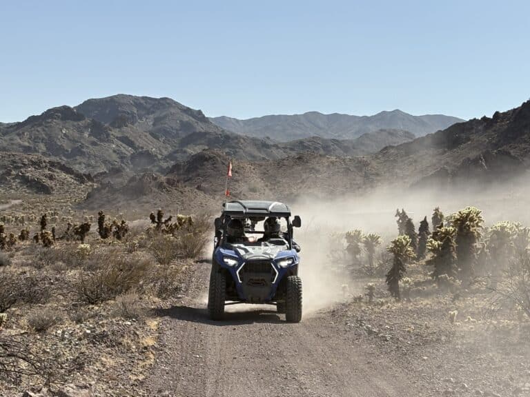Experience a thrilling RZR off-road ride near Las Vegas through Nevada’s desert trails, cacti, and scenic mountain views.