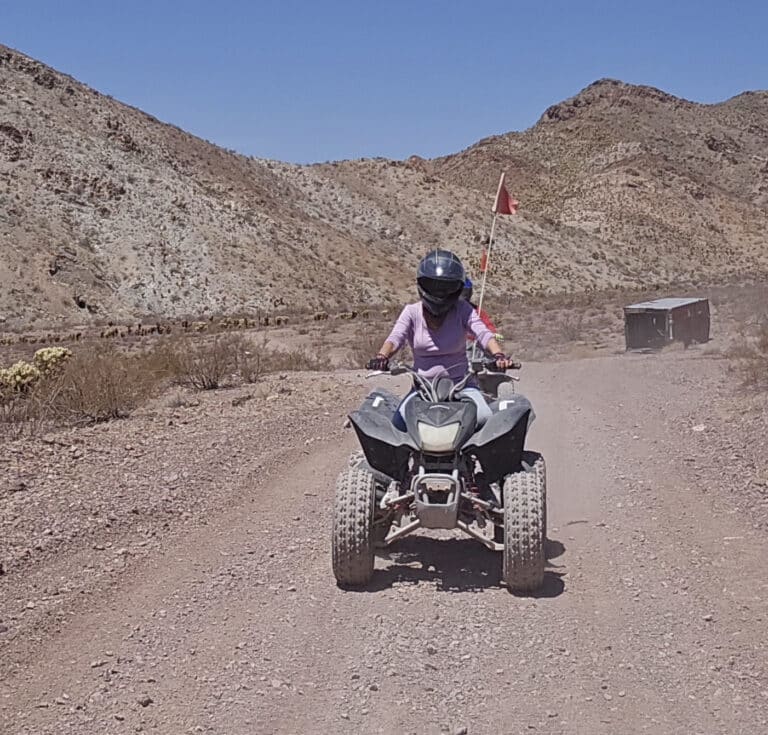 Helmeted rider in pink shirt drives ATV with red flag on Nevada desert trail near Las Vegas, scenic hills in background.