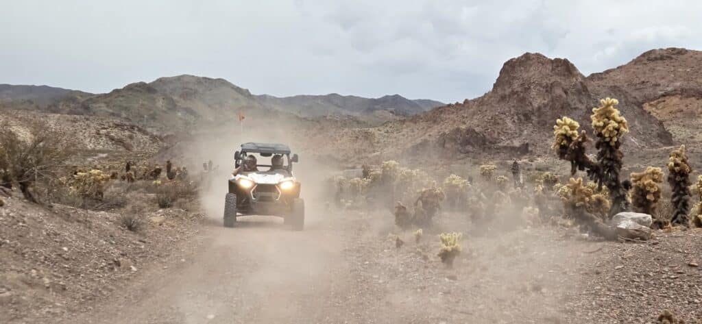 ATV drives on a dusty Nevada desert trail near Las Vegas, with cacti and rocky hills—perfect for off-road tours or RZR adventures.