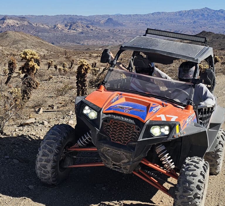 RZR off-road vehicle with two riders explores rocky Nevada desert trail near cacti and mountains on a clear day, perfect for Las Vegas ATV tours.