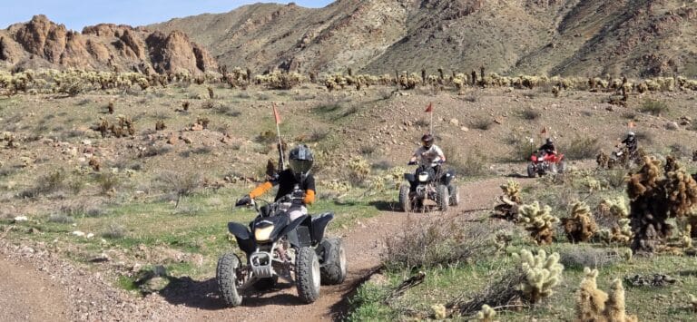 Group on ATVs explores Nevada desert trails near Las Vegas with rocky hills, cacti, and sunny skies—ideal for ATV tours.