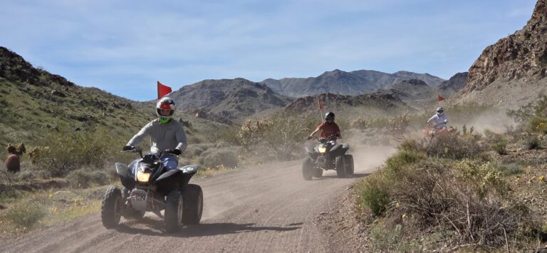 ATV riders explore a dusty Nevada desert trail near Las Vegas, with red flags and wildflowers on an exciting off-road tour.