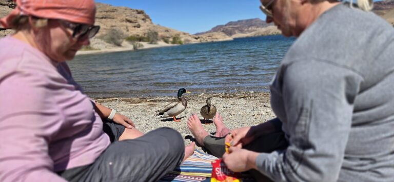 Picnic by Colorado River near Las Vegas: two people share snacks, watched by ducks, with Nevada hills and blue sky in background.