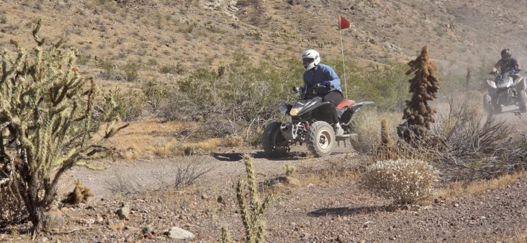 ATV riders cruise a dusty Nevada desert trail near Las Vegas, passing cacti and rocks on an exciting off-road adventure tour.