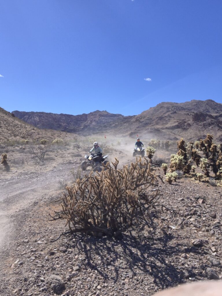 Two riders on dirt bikes tackle a dusty Nevada trail near Las Vegas, surrounded by cacti, mountains, and desert scenery.