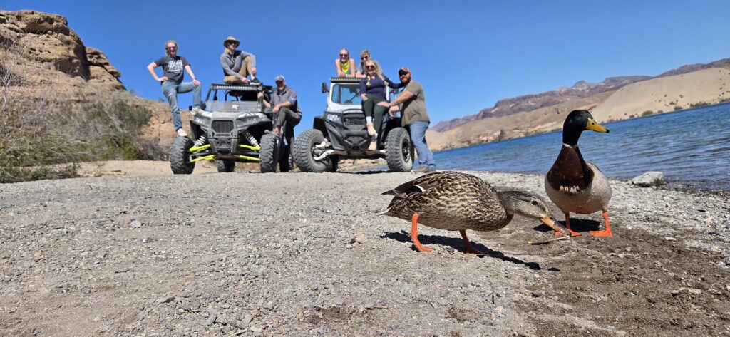 Ducks on a sandy Nevada lakeshore, with people posing by ATVs near the Colorado River outside Las Vegas, rocky hills behind.