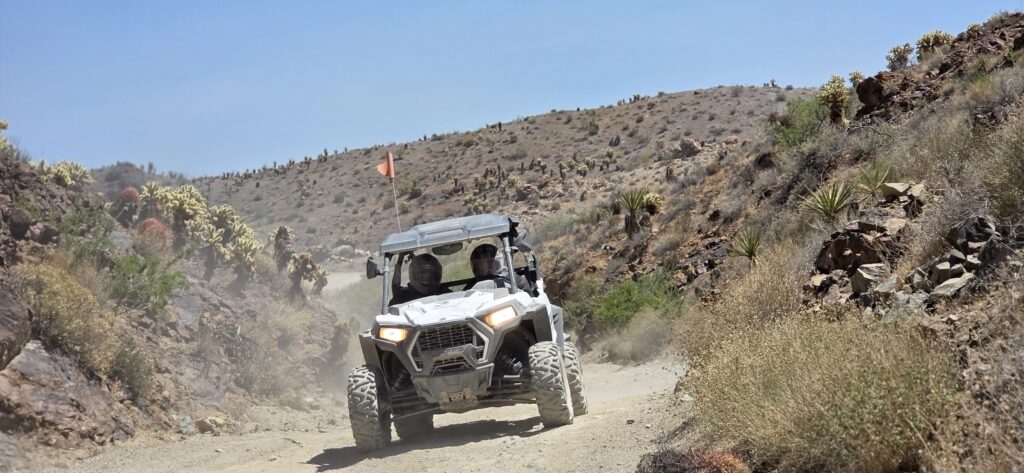 RZR off-road vehicle rides near Las Vegas along the Colorado River in Nevada’s desert with cacti, shrubs, and blue skies.
