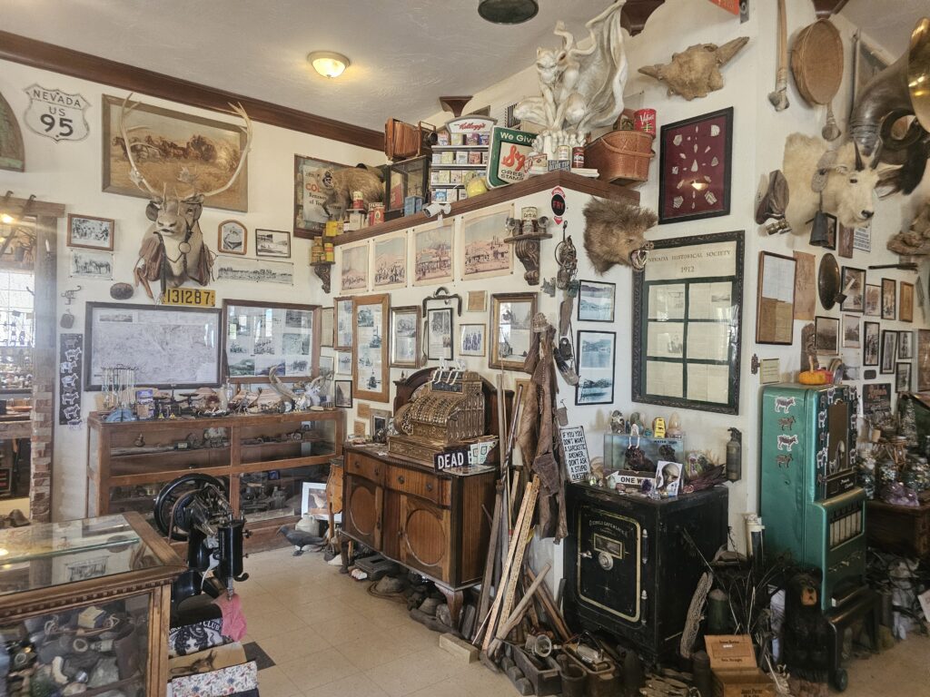 A vintage-filled Las Vegas room with taxidermy, antiques, and memorabilia—ideal for Ghost Town sightseeing or Nevada adventure tours.